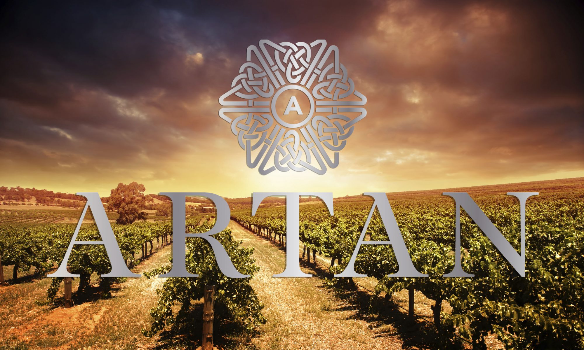 Reserve Artan Wines